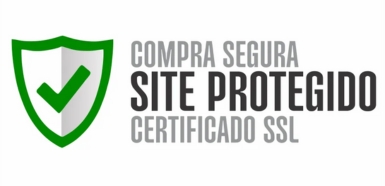 Google Segurança